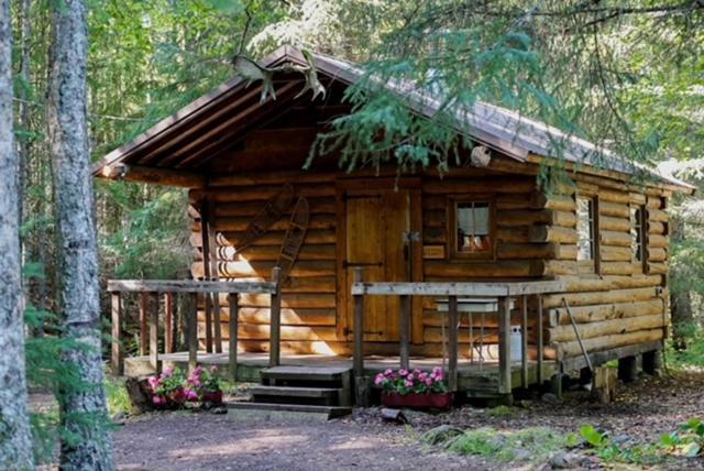 Hope Alaska'S Bear Creek Lodge Kültér fotó