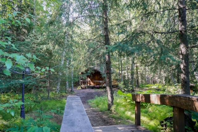 Hope Alaska'S Bear Creek Lodge Kültér fotó