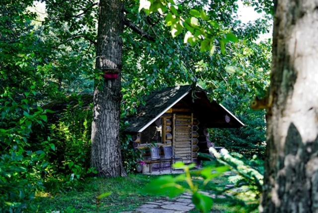 Hope Alaska'S Bear Creek Lodge Kültér fotó